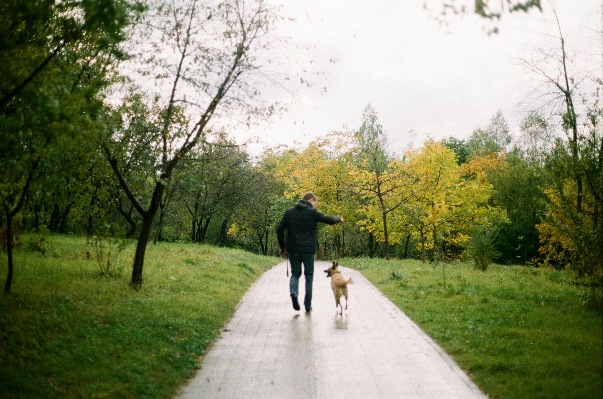 A person walking a dog through a green park path